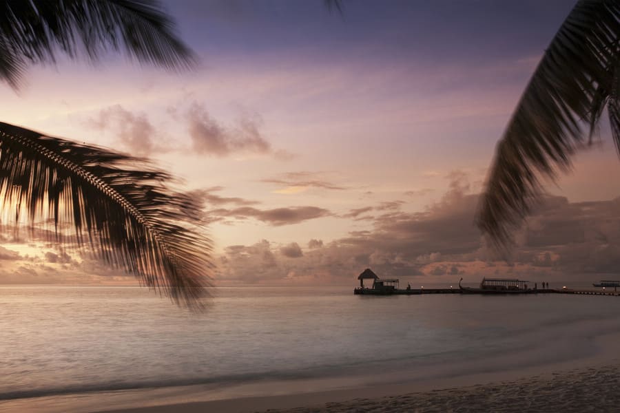 beach-trees-at-sunset-ari-atoll-maldives
