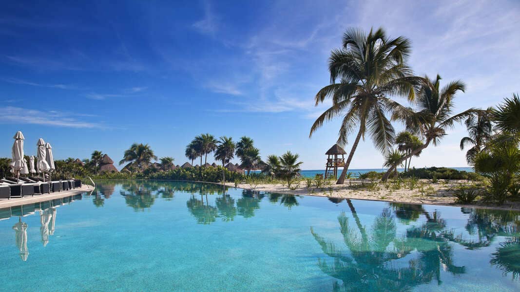 Infinity pool overlooking a white sand beach lined with palm trees at a luxury Caribbean resort under a clear blue sky.