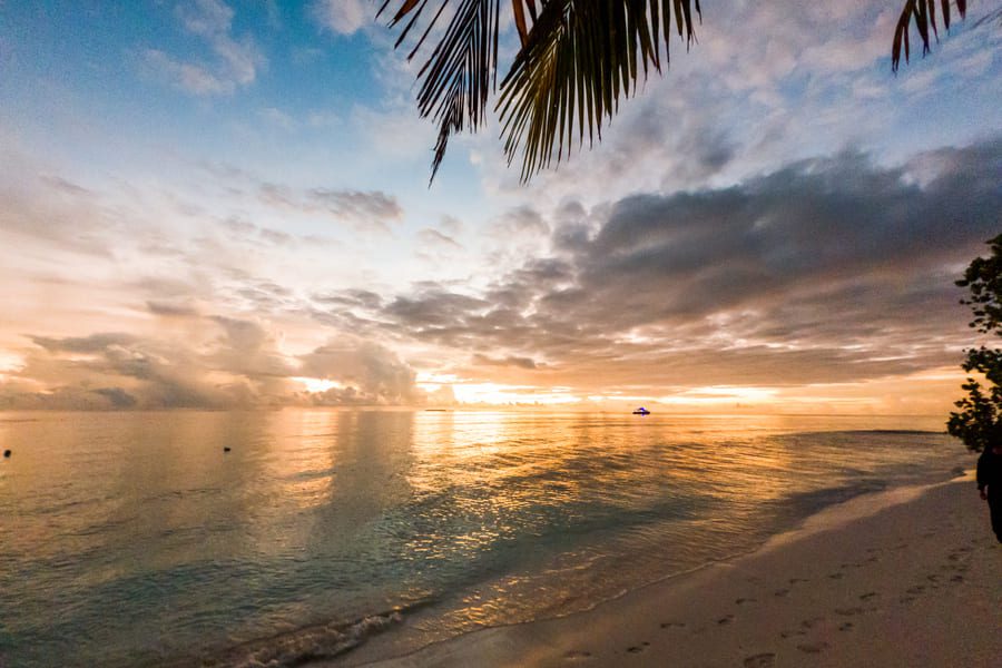 Golden Caribbean sunset over a calm ocean with footprints in the sand and palm fronds framing the scene.