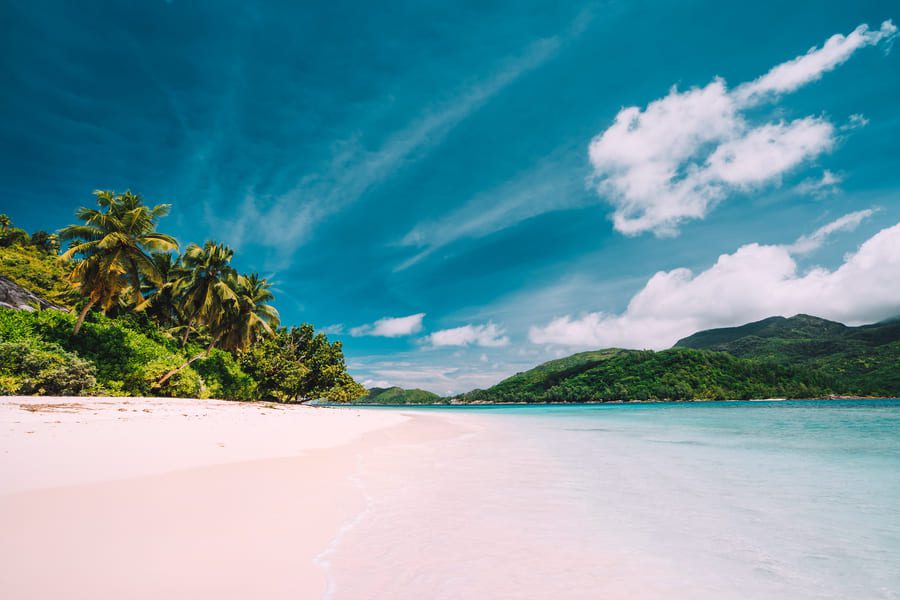 caribbean-tropical-beach-white-sand-palm-hills