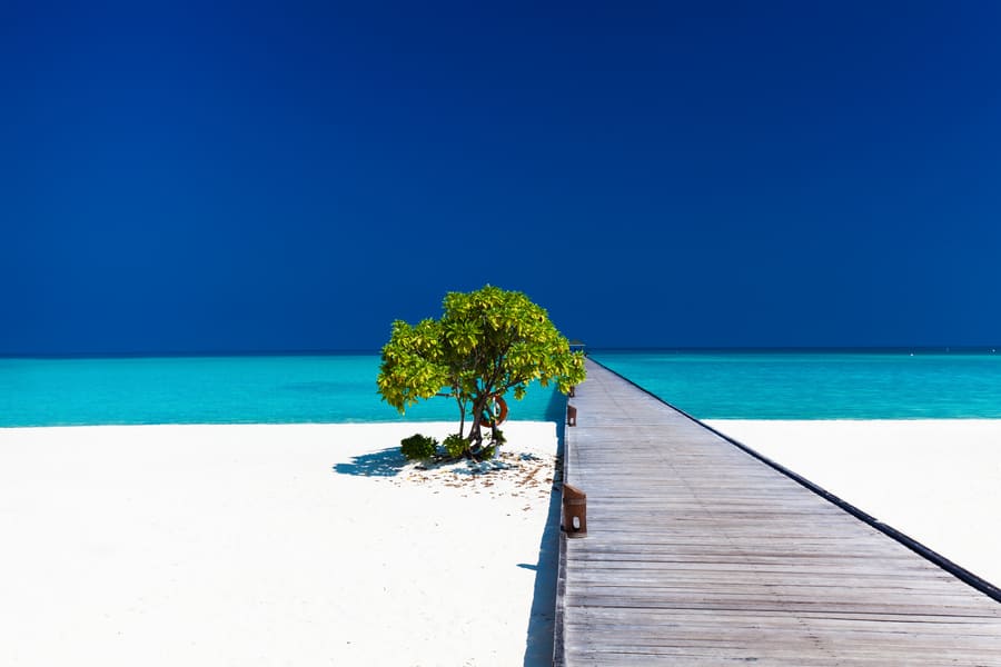 Wooden jetty leading out to a turquoise sea with a single green tree on white sand under a deep blue sky in the Maldives.