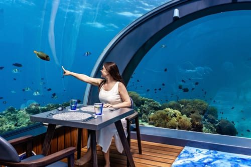 Woman dining at an underwater restaurant in the Maldives, surrounded by coral reef and tropical fish.