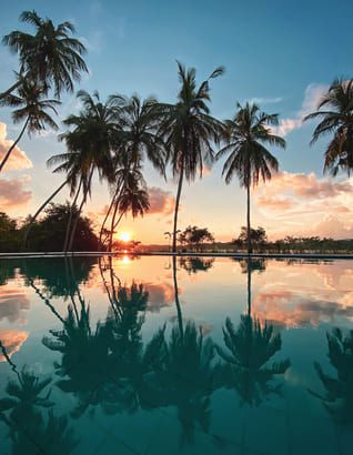 Palm trees reflecting in a still infinity pool at sunset, creating a tranquil tropical scene in mexico